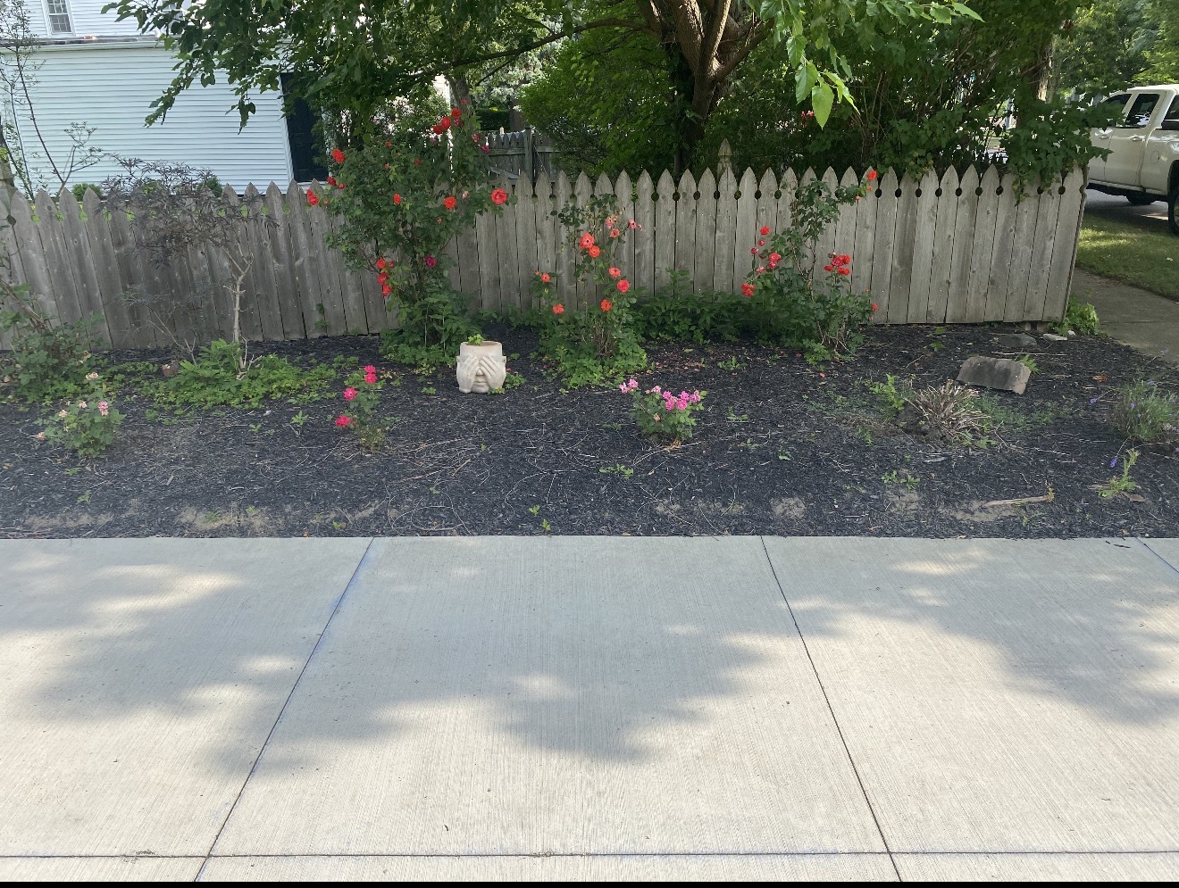 Front yard makeover — Amherst, NY before